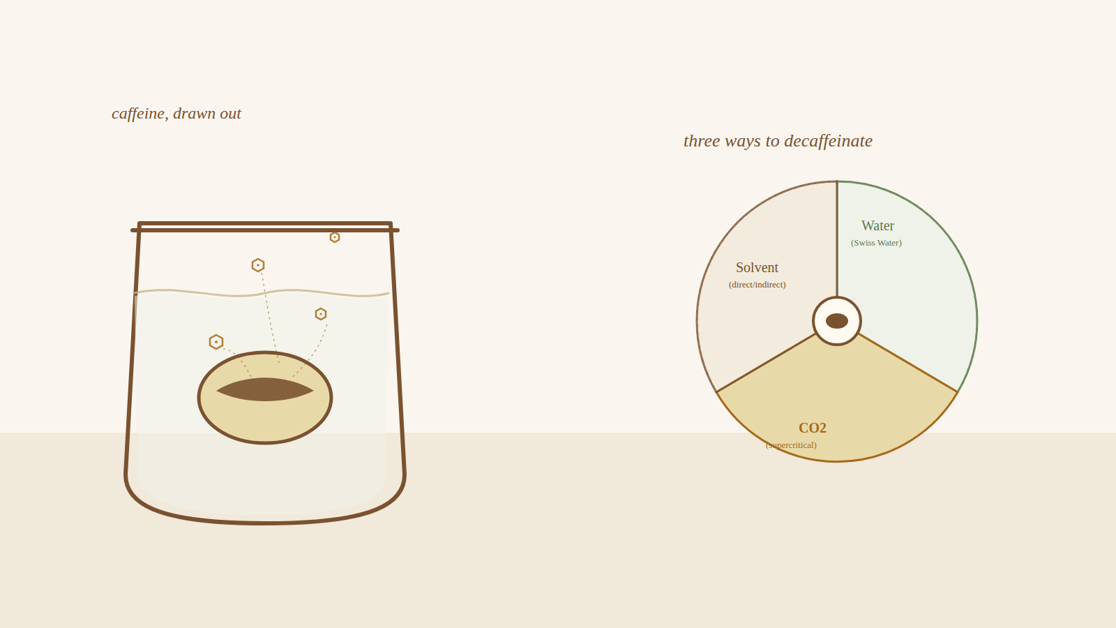 A coffee bean soaking in a vessel of water with caffeine molecules drifting out of it, next to a three-part wheel diagram of decaffeination methods